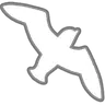 Soar