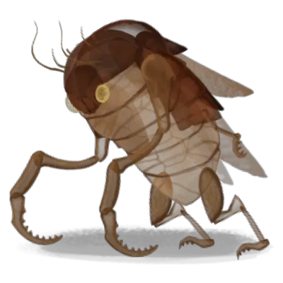 Exoskeleton