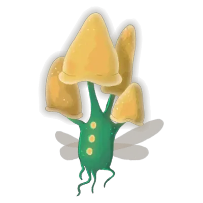 Flyconid