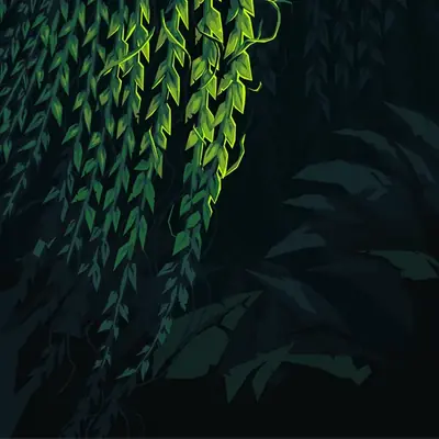 Dense Vegetation