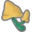 Fragrant Mushroom